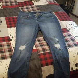 Torrid jegging